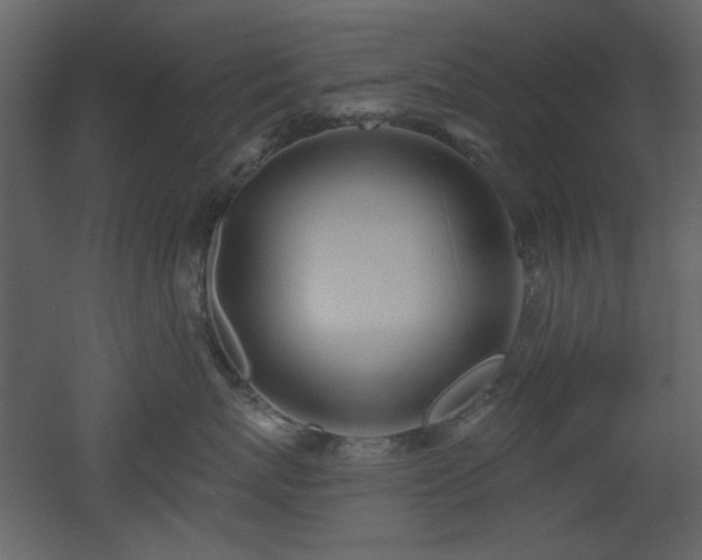 X0000053000767200507081233