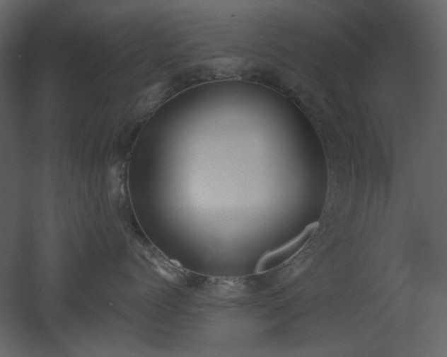 X0000053000768200507081233