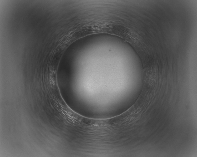 X0000053000770200507081232