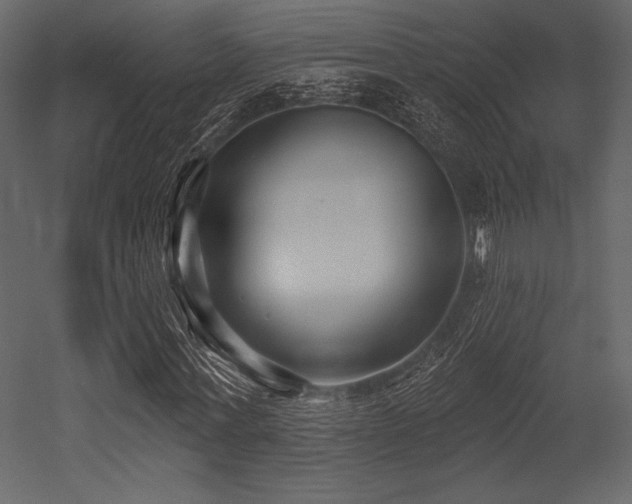 X0000053000771200507081232