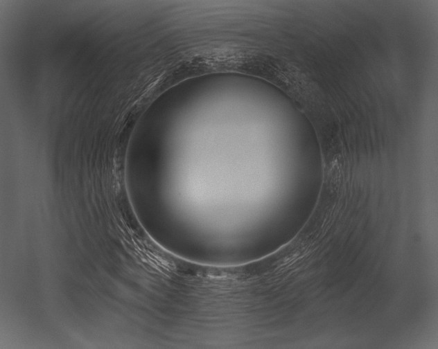 X0000053000772200507081232