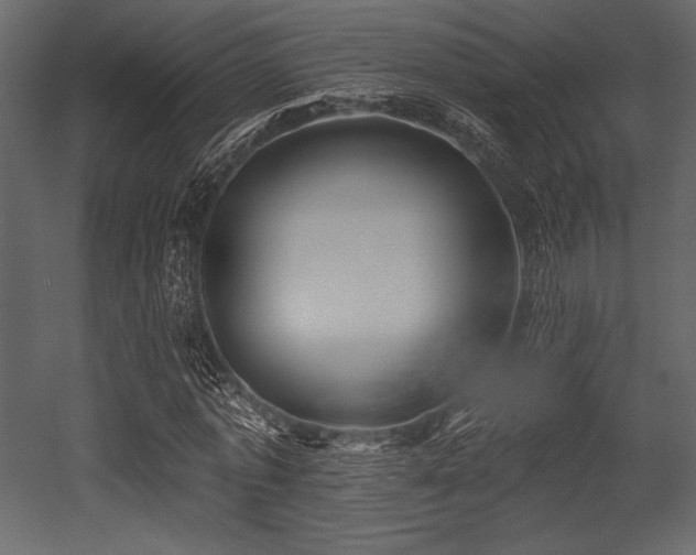X0000053000773200507081232