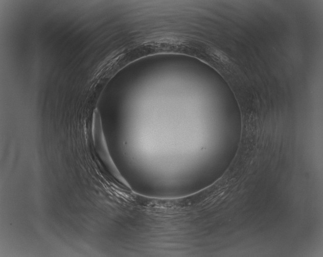 X0000053000774200507081232
