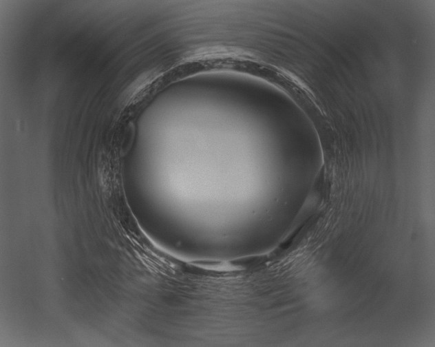 X0000053000775200507081232