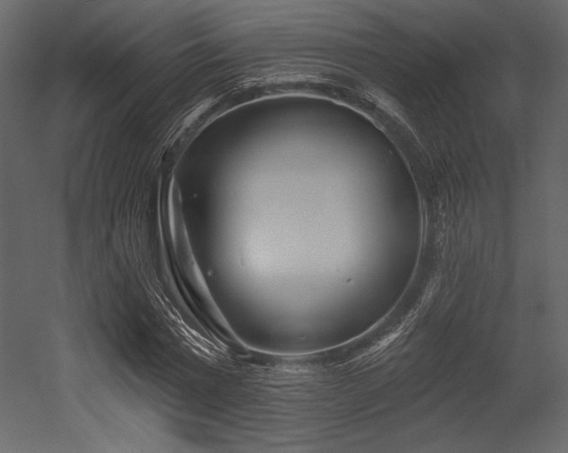 X0000053000777200507081232