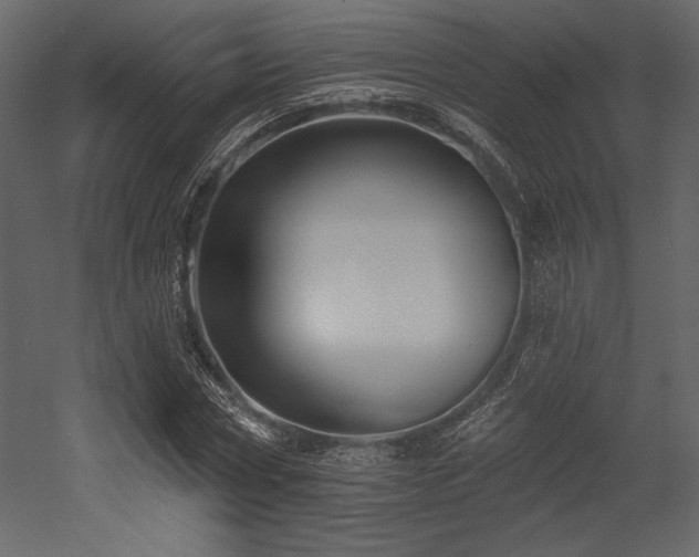 X0000053000778200507081232