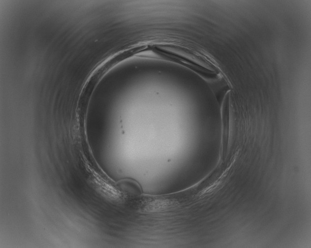 X0000053000779200507081232