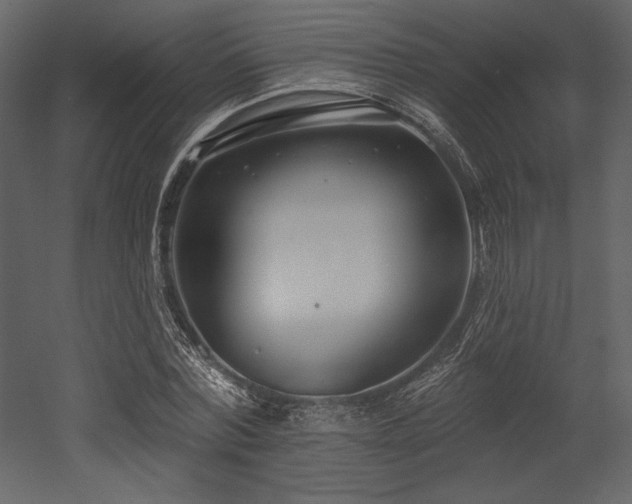 X0000053000780200507081232