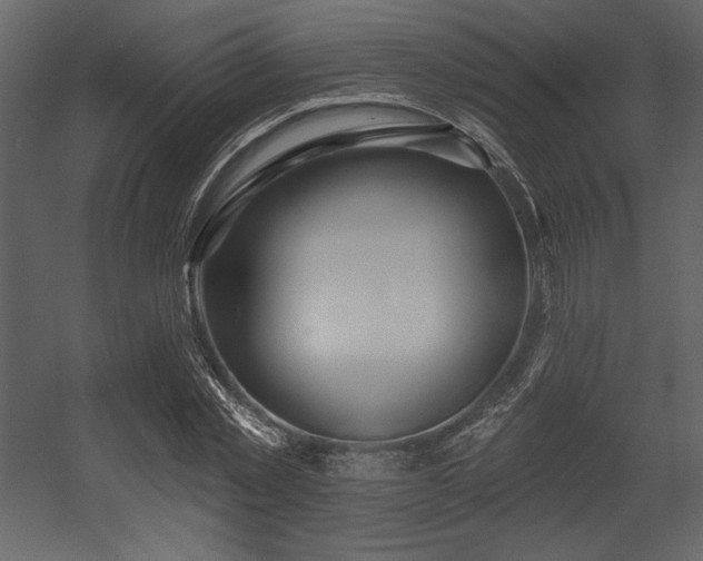 X0000053000781200507081232