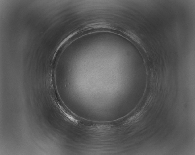 X0000053000782200507081232