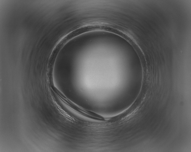X0000053000783200507081232