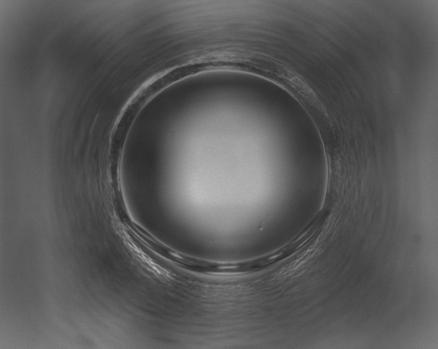 X0000053000784200507081232