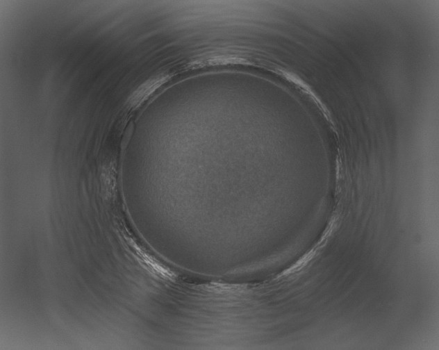 X0000053000785200507081232
