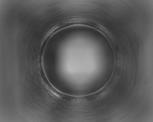 X0000053000786200507081232