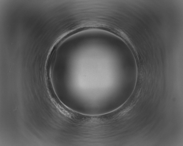 X0000053000787200507081232