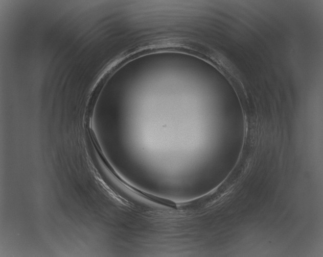 X0000053000789200507081232