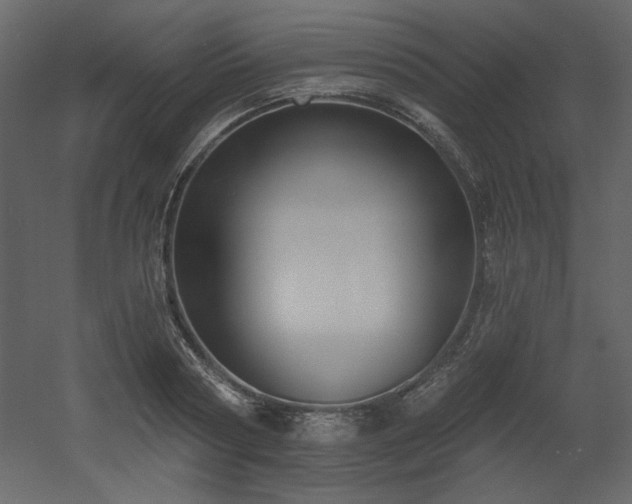 X0000053000794200507081232
