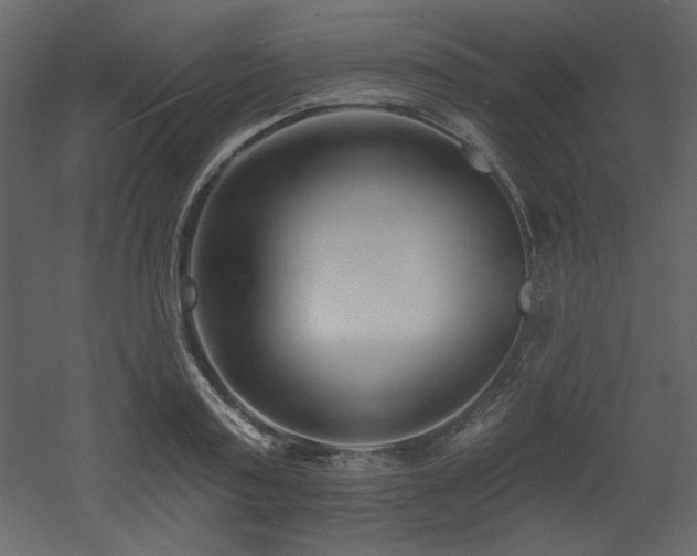 X0000053000795200507081232