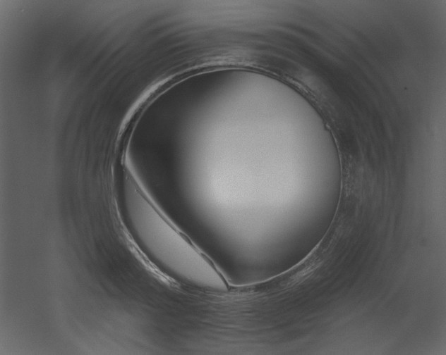 X0000053000796200507081232