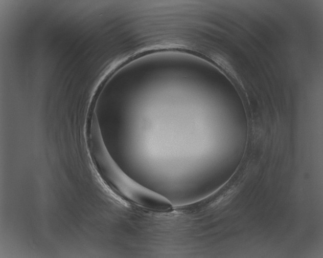 X0000053000797200507081232