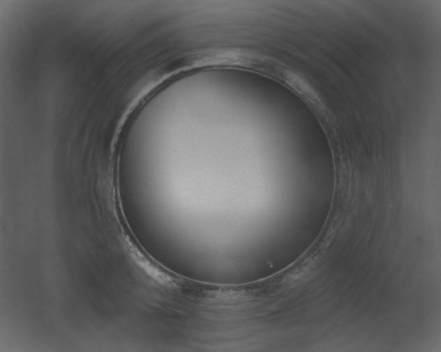 X0000053000800200507081232
