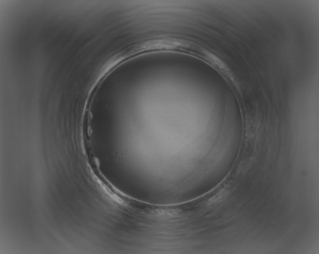 X0000053000802200507081232
