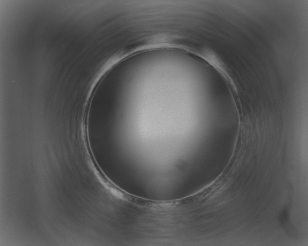 X0000053000813200507081232