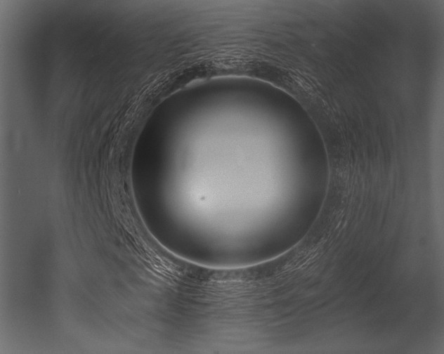 X0000053000817200507081231