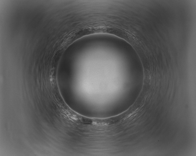 X0000053000818200507081231
