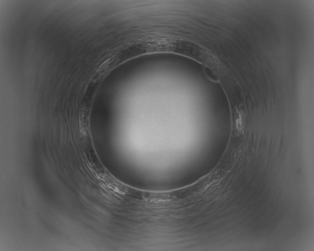X0000053000819200507081231