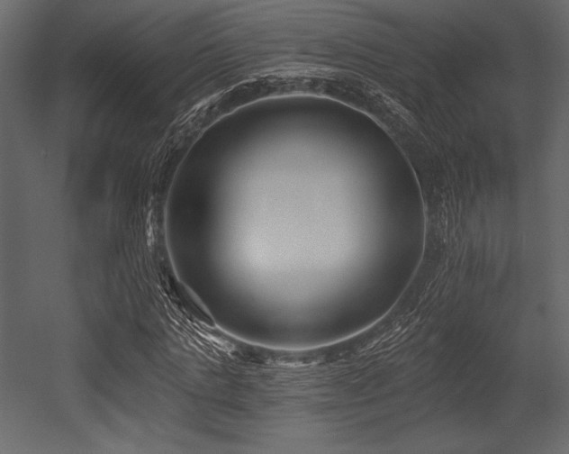 X0000053000821200507081231
