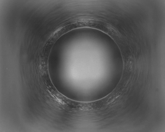 X0000053000822200507081231