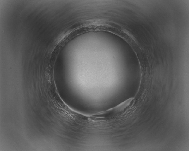 X0000053000823200507081231