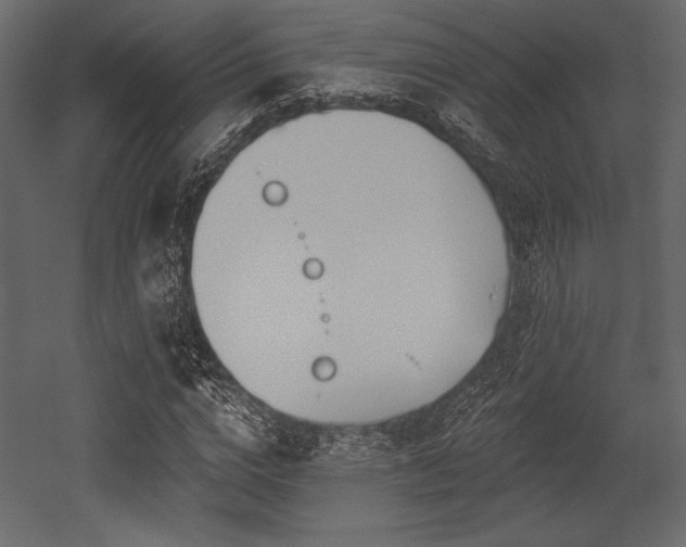 X0000053000824200507081231