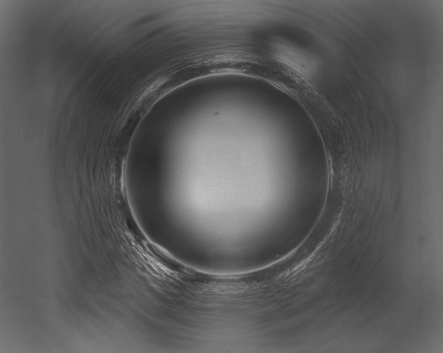 X0000053000825200507081231