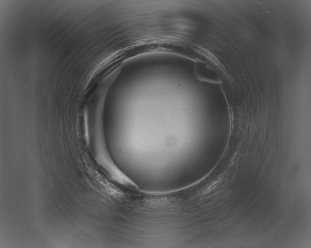 X0000053000826200507081231