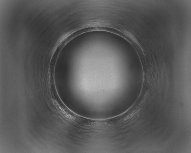 X0000053000831200507081231