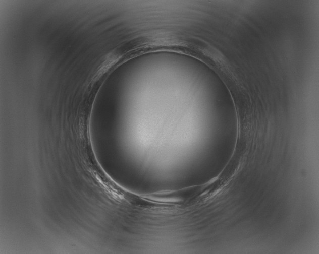 X0000053000833200507081231