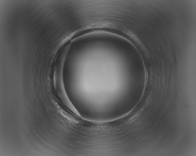 X0000053000834200507081231