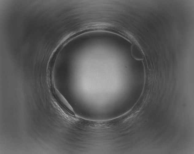 X0000053000835200507081231