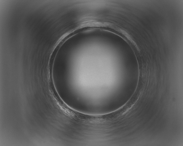 X0000053000837200507081231