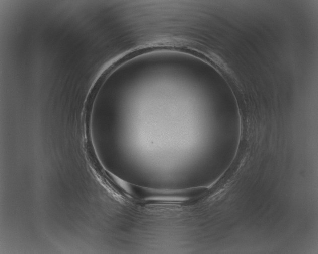 X0000053000838200507081231