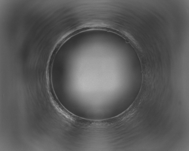 X0000053000840200507081231