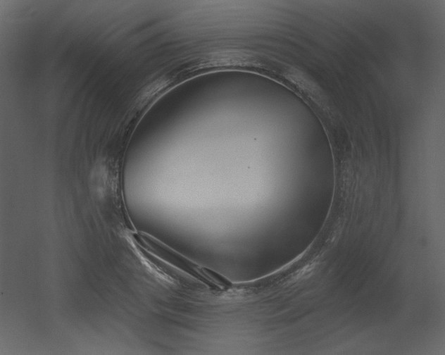 X0000053000841200507081231