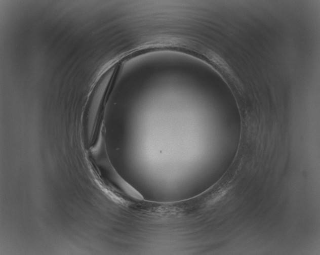 X0000053000842200507081231