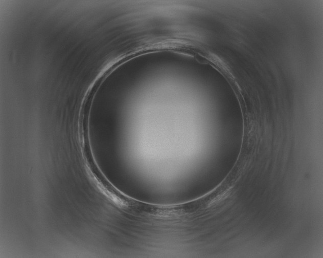 X0000053000843200507081231