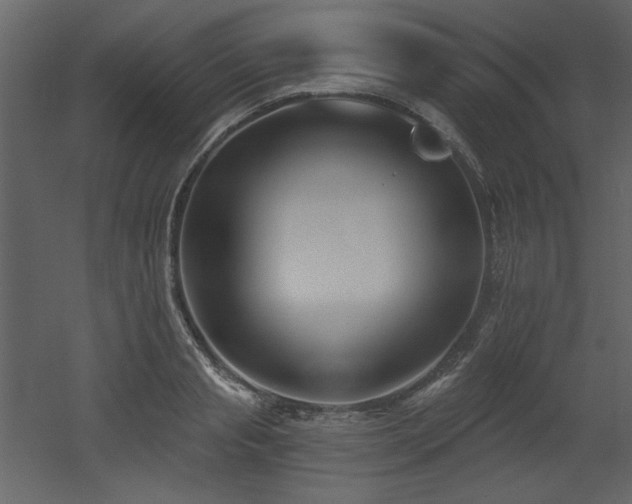 X0000053000845200507081231