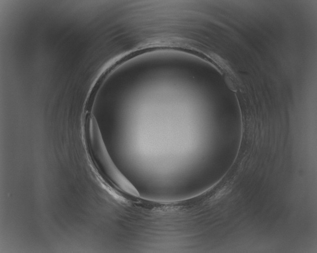 X0000053000846200507081231