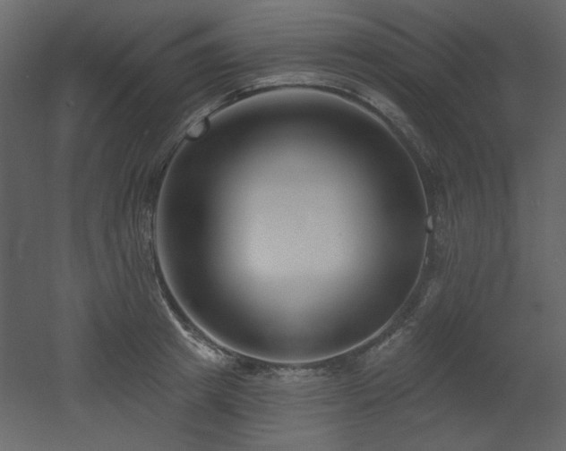 X0000053000849200507081231