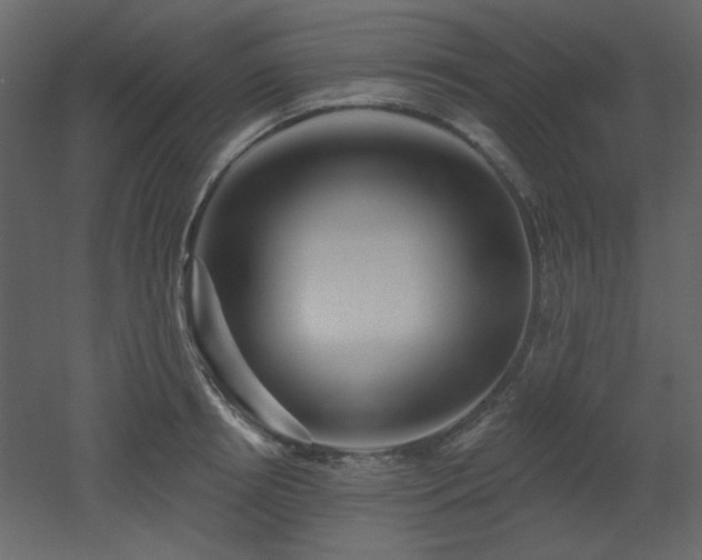 X0000053000850200507081231